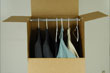 Wardrobe Carton